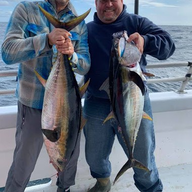 a person holding a fish in the water