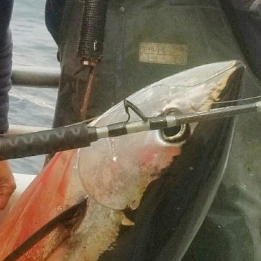 a close up of a knife