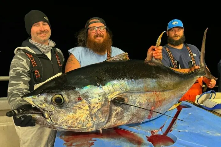 a man holding a fish