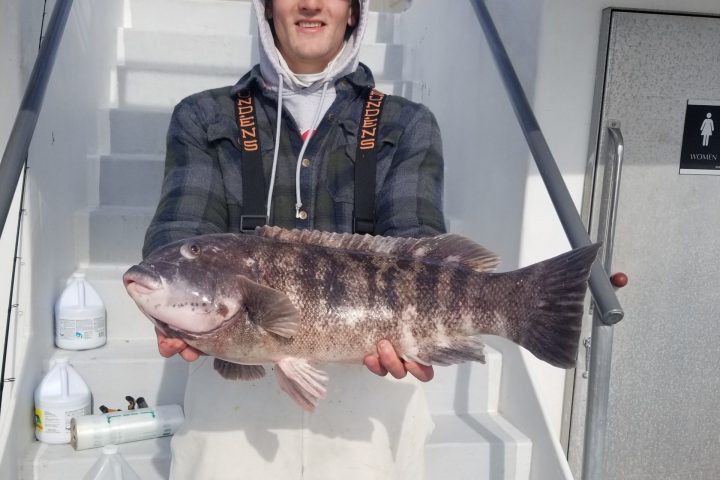 lazy man taug catch