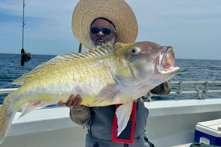 a person holding a fish in the water