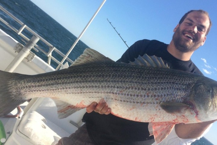 a man holding a fish